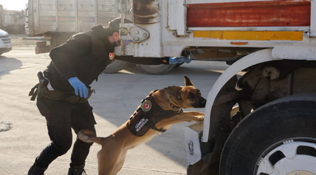 Akçakale Gümrük Kapısında X-Ray Kontrol