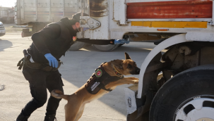 Akçakale Gümrük Kapısında X-Ray Kontrol