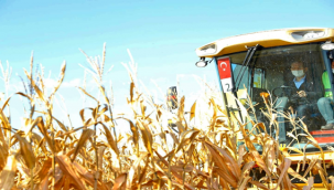 Bakan Soylu ve Pakdemirli, Şanlıurfa'da