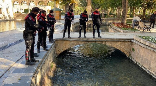 Balıklıgöl'de kutsal balıklara polisten yem