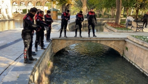 Balıklıgöl'de kutsal balıklara polisten yem