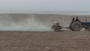 Barış Pınarı Çiftçisine 100 Ton Tohumluk Dağıtıldı