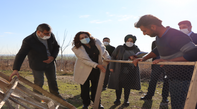 Büyükşehir İpekböcekçiliği Desteği İçin Sahada