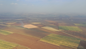 GAP'ta toplulaştırma hızla sürüyor