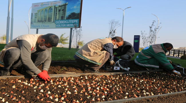 Haliliye belediyesinden Göbeklitepe tanıtımına bir katkı daha