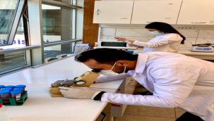 HRÜ Vişne Çekirdeği Atıklarından Bitkisel Protein Tozu ve Protein Barı Üretecek