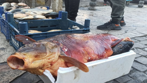 İşte suriyelilerin geçim kaynağı fırat