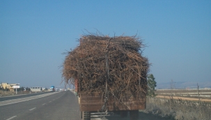 Ovada odun telaşı pamuktan karşılanıyor