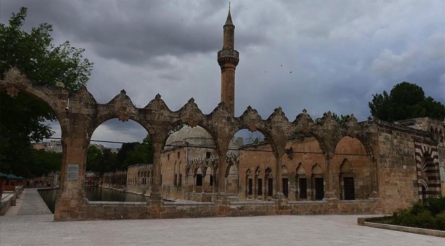 Şanlıurfa'da 1'i kadın 5 kişi hayatını kaybetti!