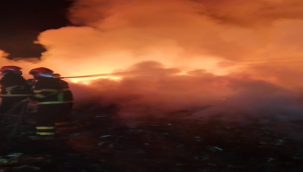 Şanlıurfa'da korkutan görüntü!