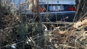 Şanlıurfa'da trafik kazası