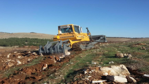 Şanlıurfa'da Yanan orman alanında yeşile yolculuk başladı