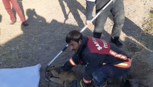 Su borusuna sıkışan köpek kurtarıldı