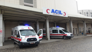 Urfa'da kamyonun çarptığı çocuk öldü