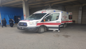 Akçakale'de silahını temizlerken kendini vurdu