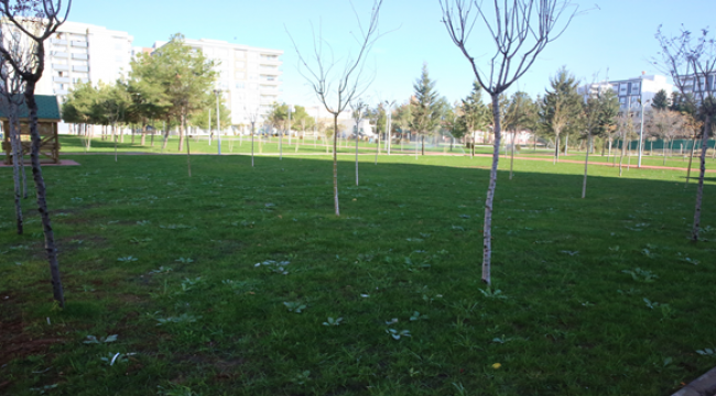 Başkan Canpolat İle Yeşil Alan 99 Dönüm Arttı