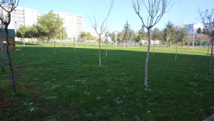 Başkan Canpolat İle Yeşil Alan 99 Dönüm Arttı