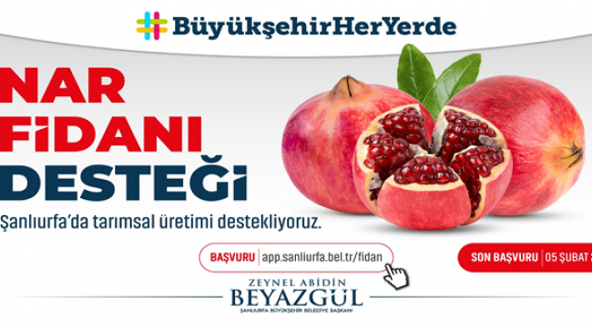 Büyükşehir, Tarımsal Üretimi Desteklemek Adına Nar Fidanı Dağıtıyor