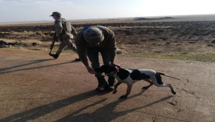 Ceylanpınar'da kaçak avlanan 2 kişiye ceza