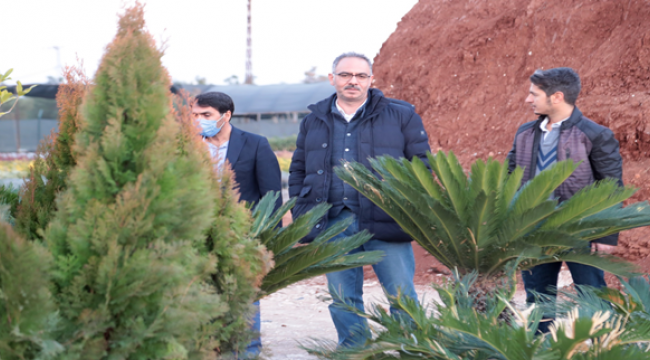 Eyyübiye'deki parklara farklı türlerde yeni ağaçlar dikilecek