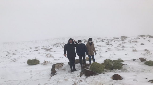 Kar yağışı nedeniyle aç kalan hayvanlara yem bırakıldı