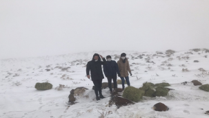 Kar yağışı nedeniyle aç kalan hayvanlara yem bırakıldı