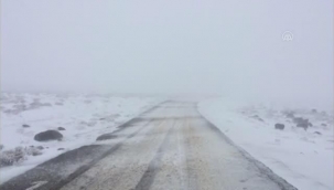 Karacadağ'da Kar yağışı etkili oluyor