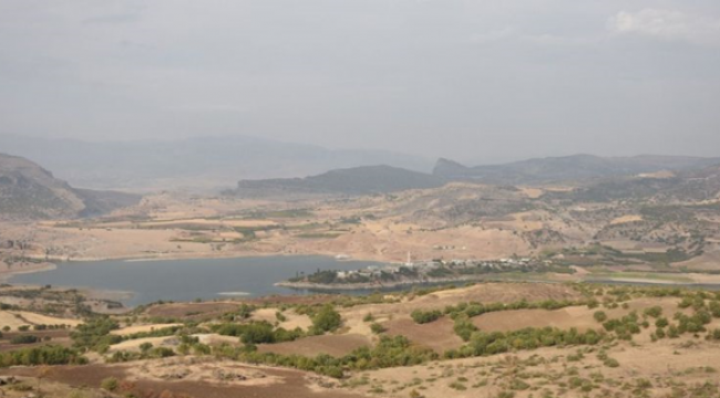 Şanlıurfa'da 15 Gün İçinde Yağış Olmazsa Hububat Zarar Görecek