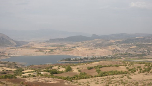 Şanlıurfa'da 15 Gün İçinde Yağış Olmazsa Hububat Zarar Görecek