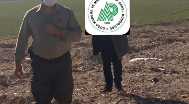 Şanlıurfa'da doğaya zarar verenlere ceza