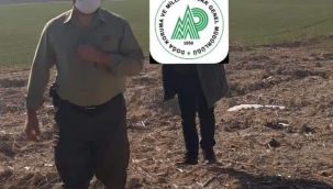 Şanlıurfa'da doğaya zarar verenlere ceza