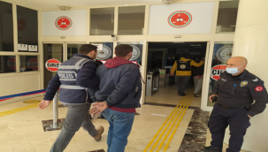Şanlıurfa'da hırsızlık zanlıları yakalandı