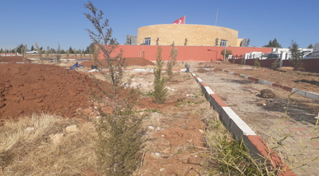 Şanlıurfa'da şehitler anısına fidan dikildi