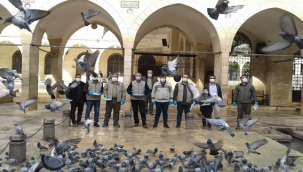 Şanlıurfa'daki O kuşlar beslendi