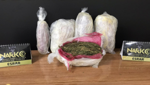 Şanlıurfa'nın 3 ilçesinde operasyon