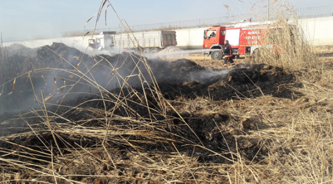 Sazlıkta çıkan yangını itfaiye söndürdü