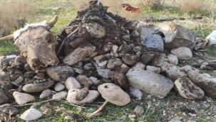 ŞUSKİ'den vatandaşlara video klipli uyarı ''lütfen duyarlı olalım''