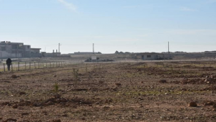 Tel Abyad ve Rasulayn'da savaşın izleri siliniyor