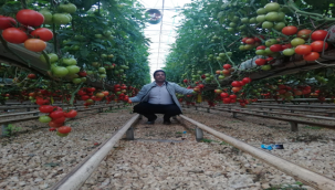 Topraksız tarım hızla yaygınlaşıyor