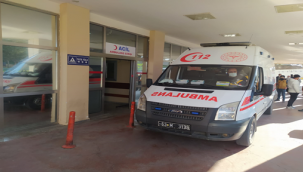 Urfa'da kardeşlerin kavgası kanlı bitti