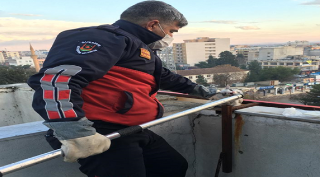 Urfa'da kedi kurtarma operasyonu