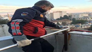 Urfa'da kedi kurtarma operasyonu