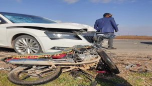 Ceylanpınar- Akçakale yolunda kaza, 1 ölü