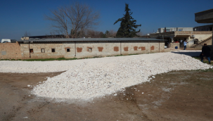 Eyyübiye belediyesi, çalışmalarını aralıksız sürdürüyor