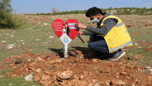 Haliliye belediyesinden evlenen çiftlere ömürlük hediye