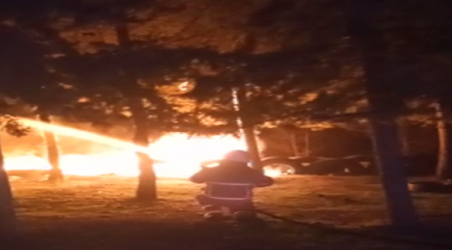 Haliliye'de ormanlık alanda yangın!