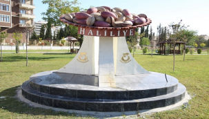 Kimlikli parklar, Haliliye'ye renk kattı