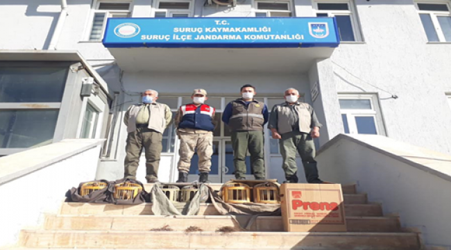 Şanlıurfa'da kaçak avlanan 2 kişi hakkında idari işlem yapıldı