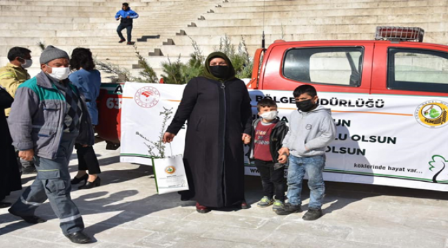 Şanlıurfa'da Sevgililer Gününde Zeytin ve Çam fidanı dağıtıldı