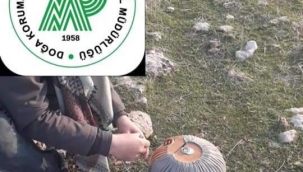 Şanlıurfa' da yasak gününde avlanan bir kişi yakalandı